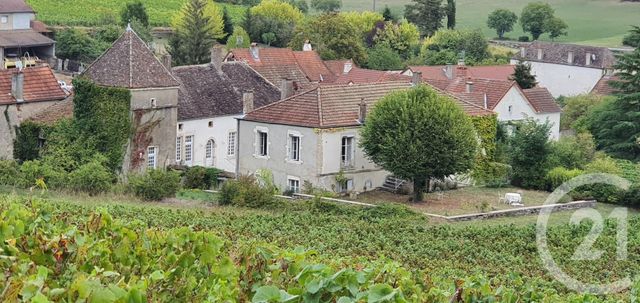 maison - CHASSEY LE CAMP - 71